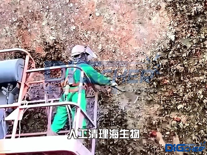 �˹�����������