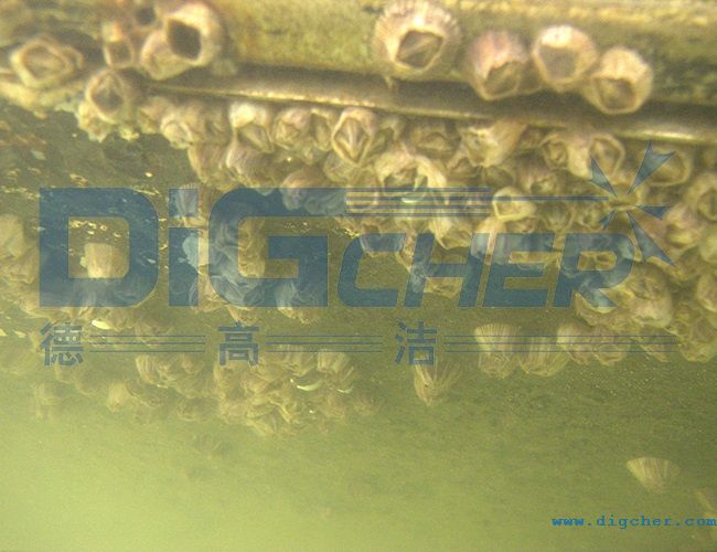 ˮ�¸����ĺ�����